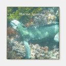 Suche nach wir marine magnete Jede person