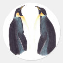 Suche nach kaiserpinguine aufkleber Vogelvogel