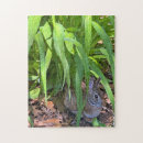 Suche nach kaninchen puzzle Cottontail
