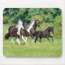 Suche nach galopp mousepads Barock