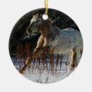Suche nach appaloosa ornamente Schnee