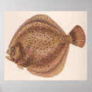 Suche nach vintage fische poster Jede person