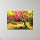 Suche nach ahorn leinwandbilder Fall