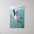 Suche nach delphin leinwandbilder Natur