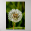 Suche nach blasen sie auf poster Pflanze