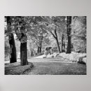 Suche nach see como Landschaft