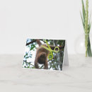 Suche nach schießen postkarten Für ihn