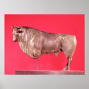 Suche nach gallo poster Animal