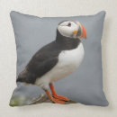 Suche nach die antarktis kissen Für alle