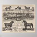 Suche nach kansas city poster Kreuzung