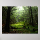 Suche nach baumstämme poster Natur