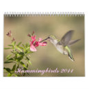 Suche nach kolibri kalender Blume