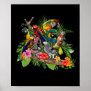 Suche nach budgies poster Vogel