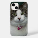 Suche nach schauen sie iphone hüllen Katze