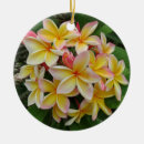 Suche nach plumeria ornamente Tropisch