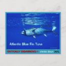 Suche nach thunfisch postkarten Blau