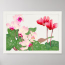 Suche nach cyclamen poster Pflanze
