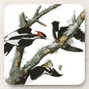Suche nach spechte untersetzer Vogel