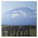 Suche nach herde fliesen Kenia