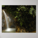 Suche nach ecuador poster Regenwald