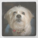 Suche nach welpen untersetzer Jede person