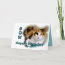 Suche nach calico cat karten Haustier