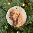 Suche nach vizsla ornamente Ungarischer zeiger