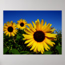 Suche nach heller frühling poster Sommer
