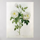 Suche nach engraving poster Bibliotheque