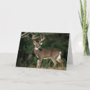 Suche nach bock karten Wildtiere