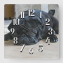 Suche nach niedlicher mops wanduhren Jede person