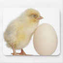 Suche nach ei mousepads Vogelbeobachtung