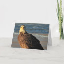 Suche nach weißkopfseeadler karten Wildtiere