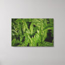 Suche nach fine art leinwandbilder Grün