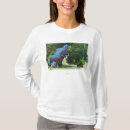 Suche nach hotels tshirts Saratoga