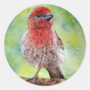 Suche nach fink aufkleber Natur