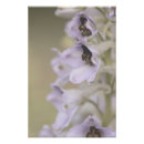 Suche nach schöne blumen poster Für alle