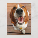 Suche nach beagle dog postkarten Für kinder