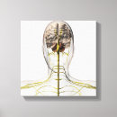 Suche nach nerven leinwandbilder Komplexität