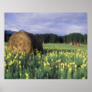 Suche nach ländliche landschaft poster Niemand