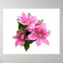 Suche nach clematis blume poster Jede person