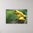 Suche nach reptil leinwandbilder Skalen