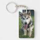 Suche nach malamute schlüsselanhänger Hund