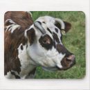 Suche nach normandie mousepads Kuh