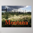 Suche nach grasland poster Landschaft