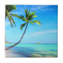 Suche nach paradies fliesen Jede person