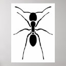 Suche nach ameisen poster Natur