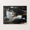 Suche nach stuhl puzzle Katze