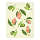 Suche nach vintage frucht poster Jede person