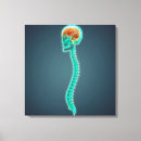 Suche nach menschlicher schädel leinwandbilder Nah up